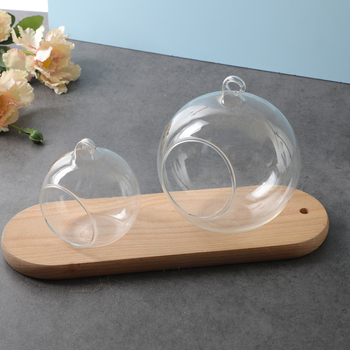 Karājoša caurspīdīga stikla vāze mikropeizēšanai — augstas borosilikāta stikls; DIY dekors; kartona iepakojums; nav importēts; nav privātas zīmola