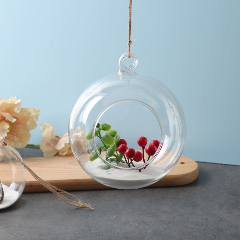 Karājoša caurspīdīga stikla vāze mikropeizēšanai — augstas borosilikāta stikls; DIY dekors; kartona iepakojums; nav importēts; nav privātas zīmola