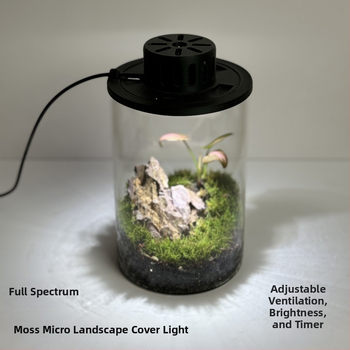 Sūnu augu gaisma - USB barošana, stikla ekoloģiska pudele, mikro ainavas prožektors akvārijiem un ūdens augiem