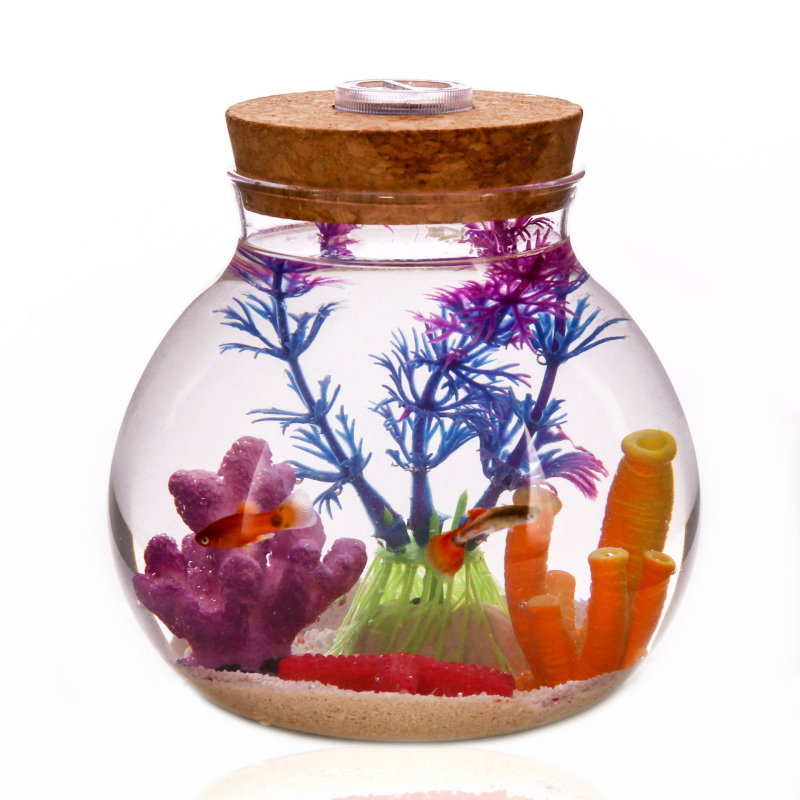 LED stikla mini ainavas pudelī ar vāciņu — borosilikāta stikls, Levana zīmols, kartona iepakojums, galda ekspozīcija, piemērots dāvanai