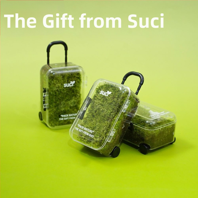 Sūnu mikropiežas ekoloģiskā pudele – viegli uzturama za biznesa dāvanas, bez importa