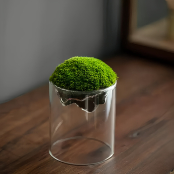 Independence caurspīdīga stikla pudelīte ar sūnu priekš galda mikropeizāžam, augsta borosilikāta stikls, kartona iepakojums