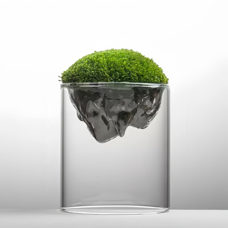 Independence caurspīdīga stikla pudelīte ar sūnu priekš galda mikropeizāžam, augsta borosilikāta stikls, kartona iepakojums