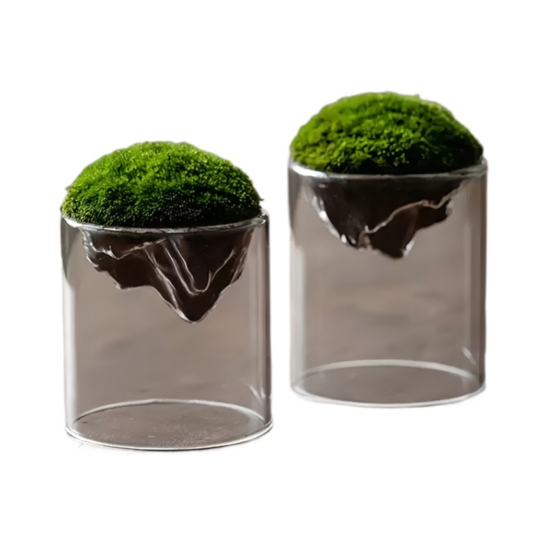 Independence caurspīdīga stikla pudelīte ar sūnu priekš galda mikropeizāžam, augsta borosilikāta stikls, kartona iepakojums