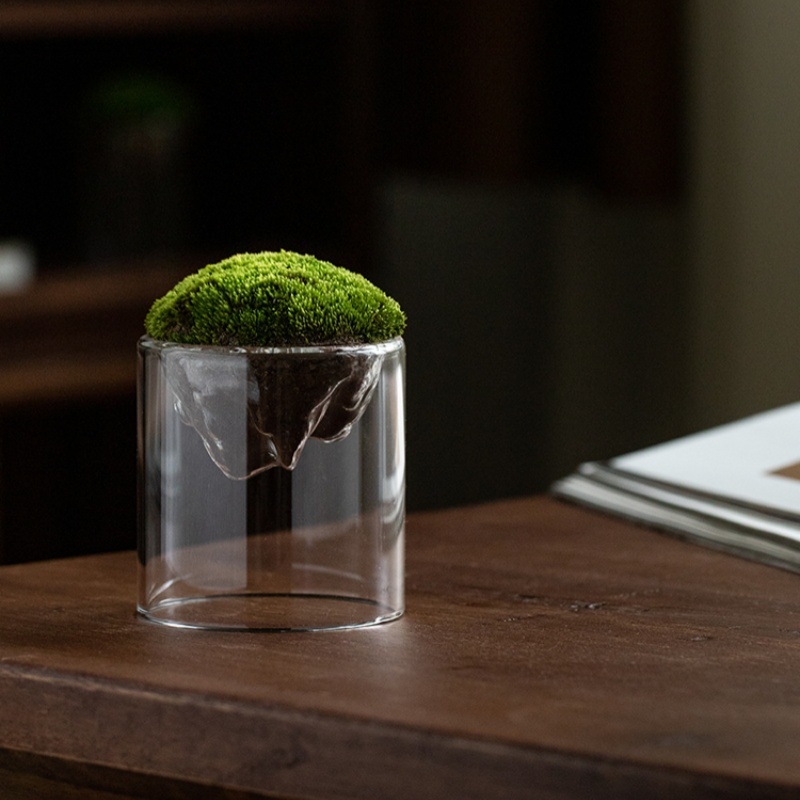 Independence caurspīdīga stikla pudelīte ar sūnu priekš galda mikropeizāžam, augsta borosilikāta stikls, kartona iepakojums