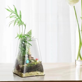 Mini meža mikrolanda pudelīte biroja galdam, stikla pudelīte no augsta borosilikāta stikla, Independence zīmols, kartona iepakojums