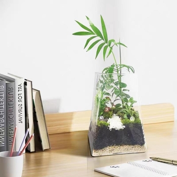Mini meža mikrolanda pudelīte biroja galdam, stikla pudelīte no augsta borosilikāta stikla, Independence zīmols, kartona iepakojums