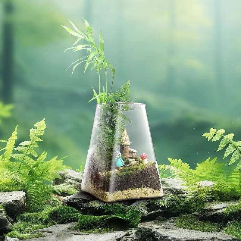 Mini meža mikrolanda pudelīte biroja galdam, stikla pudelīte no augsta borosilikāta stikla, Independence zīmols, kartona iepakojums