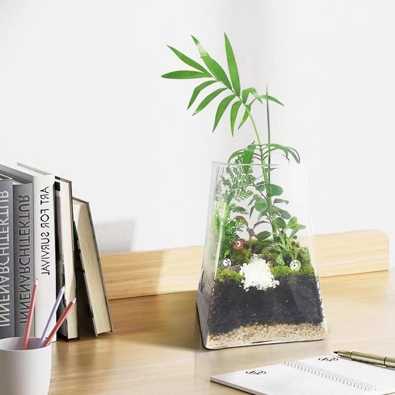 Mini meža mikrolanda pudelīte biroja galdam, stikla pudelīte no augsta borosilikāta stikla, Independence zīmols, kartona iepakojums