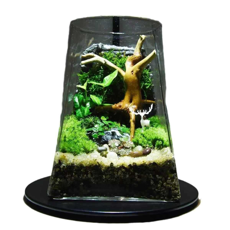 Mini meža mikrolanda pudelīte biroja galdam, stikla pudelīte no augsta borosilikāta stikla, Independence zīmols, kartona iepakojums