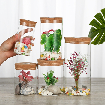 Stikla mikro ainavas pudele ar lampu; hidroponiskas augu demonstrācija; putekļu aizsargs žāvētajiem ziediem; caurspīdīgs DIY demonstrācijas korpuss; Materiāls: borosilikāta stikls; Demonstrācija: novietošana uz virsmas; Iepakojums: kartona iepakojums; Iekļ