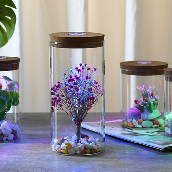 Stikla mikro ainavas pudele ar lampu; hidroponiskas augu demonstrācija; putekļu aizsargs žāvētajiem ziediem; caurspīdīgs DIY demonstrācijas korpuss; Materiāls: borosilikāta stikls; Demonstrācija: novietošana uz virsmas; Iepakojums: kartona iepakojums; Iekļ