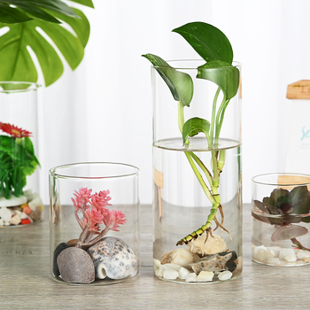 Stikla mikro ainavas pudele ar lampu; hidroponiskas augu demonstrācija; putekļu aizsargs žāvētajiem ziediem; caurspīdīgs DIY demonstrācijas korpuss; Materiāls: borosilikāta stikls; Demonstrācija: novietošana uz virsmas; Iepakojums: kartona iepakojums; Iekļ