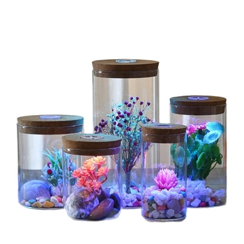 Stikla mikro ainavas pudele ar lampu; hidroponiskas augu demonstrācija; putekļu aizsargs žāvētajiem ziediem; caurspīdīgs DIY demonstrācijas korpuss; Materiāls: borosilikāta stikls; Demonstrācija: novietošana uz virsmas; Iepakojums: kartona iepakojums; Iekļ