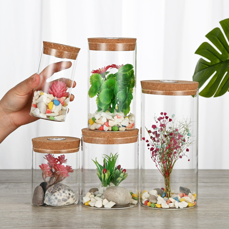 Stikla mikro ainavas pudele ar lampu; hidroponiskas augu demonstrācija; putekļu aizsargs žāvētajiem ziediem; caurspīdīgs DIY demonstrācijas korpuss; Materiāls: borosilikāta stikls; Demonstrācija: novietošana uz virsmas; Iepakojums: kartona iepakojums; Iekļ