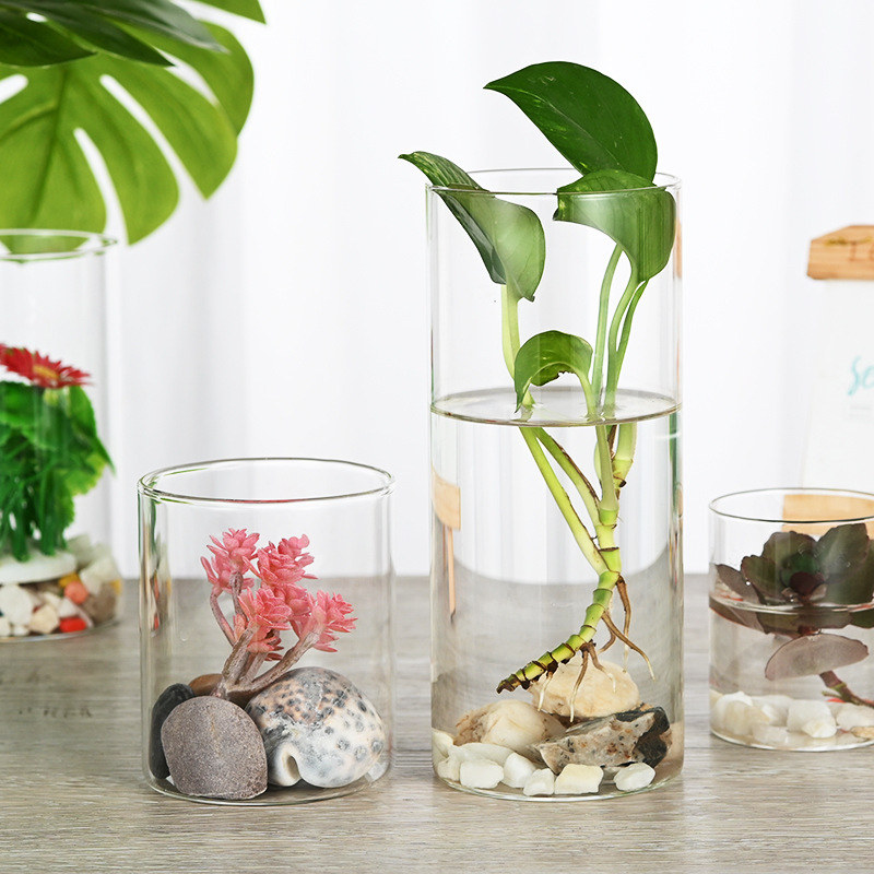 Stikla mikro ainavas pudele ar lampu; hidroponiskas augu demonstrācija; putekļu aizsargs žāvētajiem ziediem; caurspīdīgs DIY demonstrācijas korpuss; Materiāls: borosilikāta stikls; Demonstrācija: novietošana uz virsmas; Iepakojums: kartona iepakojums; Iekļ