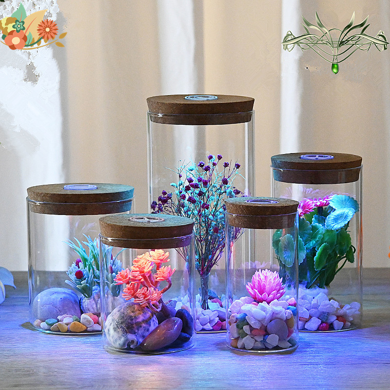 Stikla mikro ainavas pudele ar lampu; hidroponiskas augu demonstrācija; putekļu aizsargs žāvētajiem ziediem; caurspīdīgs DIY demonstrācijas korpuss; Materiāls: borosilikāta stikls; Demonstrācija: novietošana uz virsmas; Iepakojums: kartona iepakojums; Iekļ