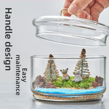 Dzīvs sūnu terārijs — mikropeizējums sūnām stiklā no borosilikāta stikla, DIY iekšējai dekorašanai