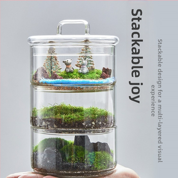 Dzīvs sūnu terārijs — mikropeizējums sūnām stiklā no borosilikāta stikla, DIY iekšējai dekorašanai