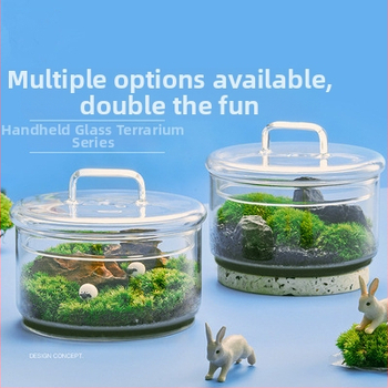 Dzīvs sūnu terārijs — mikropeizējums sūnām stiklā no borosilikāta stikla, DIY iekšējai dekorašanai