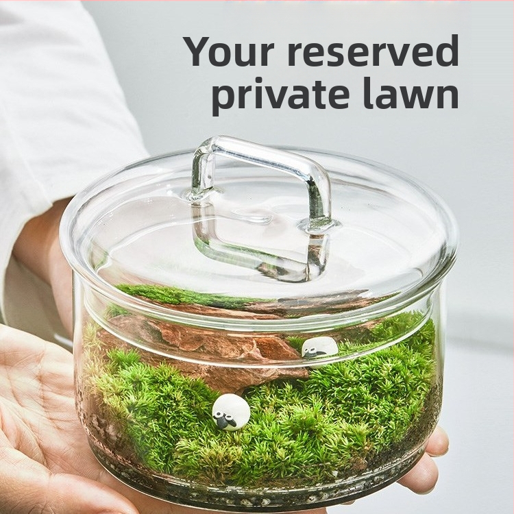 Dzīvs sūnu terārijs — mikropeizējums sūnām stiklā no borosilikāta stikla, DIY iekšējai dekorašanai