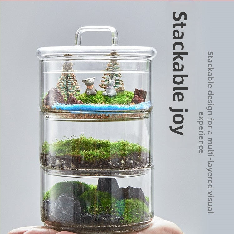 Dzīvs sūnu terārijs — mikropeizējums sūnām stiklā no borosilikāta stikla, DIY iekšējai dekorašanai