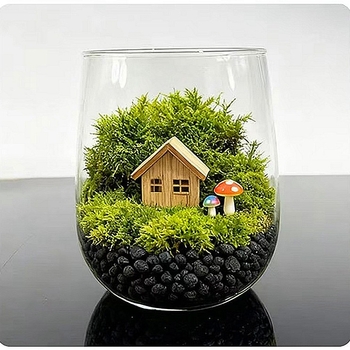 Sūna un sukulentu terārijs – mikro ainava caurspīdīgā stikla pudelē, izstādīšanai, kartona iepakojums, gatavs dāvanai