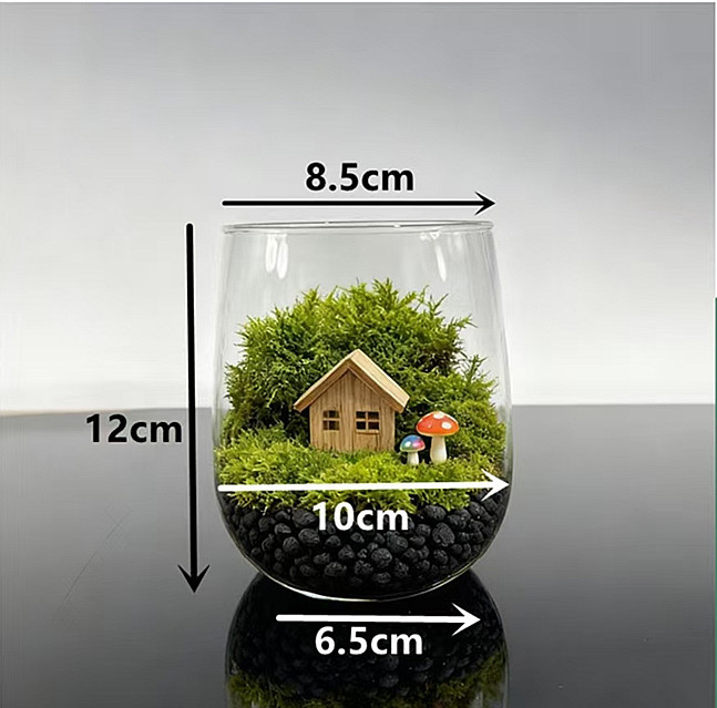 Sūna un sukulentu terārijs – mikro ainava caurspīdīgā stikla pudelē, izstādīšanai, kartona iepakojums, gatavs dāvanai