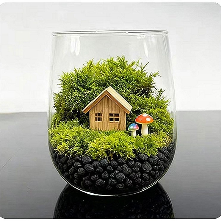 Sūna un sukulentu terārijs – mikro ainava caurspīdīgā stikla pudelē, izstādīšanai, kartona iepakojums, gatavs dāvanai