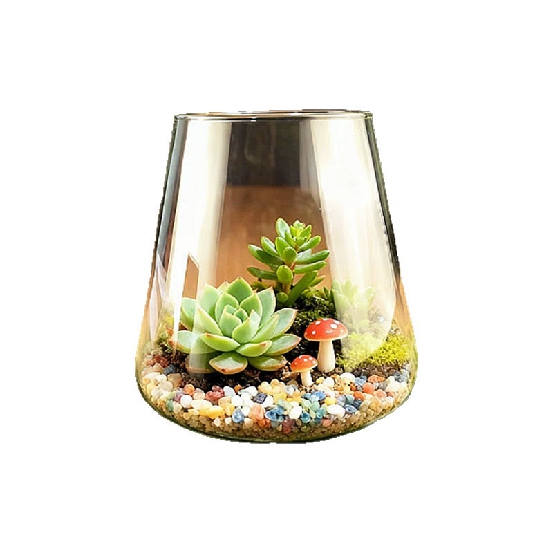 Sūna un sukulentu terārijs – mikro ainava caurspīdīgā stikla pudelē, izstādīšanai, kartona iepakojums, gatavs dāvanai
