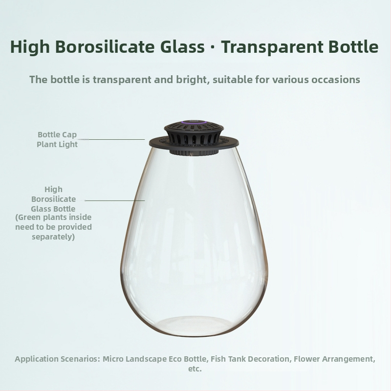 Fanong Augu Gaismas Komplekt ar Augstas Borosilikāta Stikla Piliens Mikro Ainavu Ekoloģiskajam Traukam