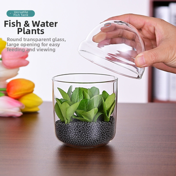 Haomeng Borosilikāta stikla vāze mikropeizažai hidroponikai ar sukulentiem un dekoratīvām zivīm — Materiāls: borosilikāta stikls; Iepakojums: kartona iepakojums; Displejs: displejs; Dāvana: Nē