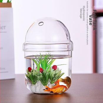 Haomeng Borosilikāta stikla vāze mikropeizažai hidroponikai ar sukulentiem un dekoratīvām zivīm — Materiāls: borosilikāta stikls; Iepakojums: kartona iepakojums; Displejs: displejs; Dāvana: Nē