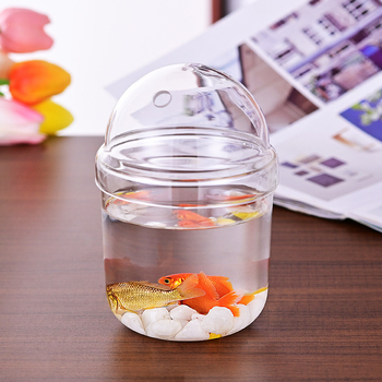 Haomeng Borosilikāta stikla vāze mikropeizažai hidroponikai ar sukulentiem un dekoratīvām zivīm — Materiāls: borosilikāta stikls; Iepakojums: kartona iepakojums; Displejs: displejs; Dāvana: Nē