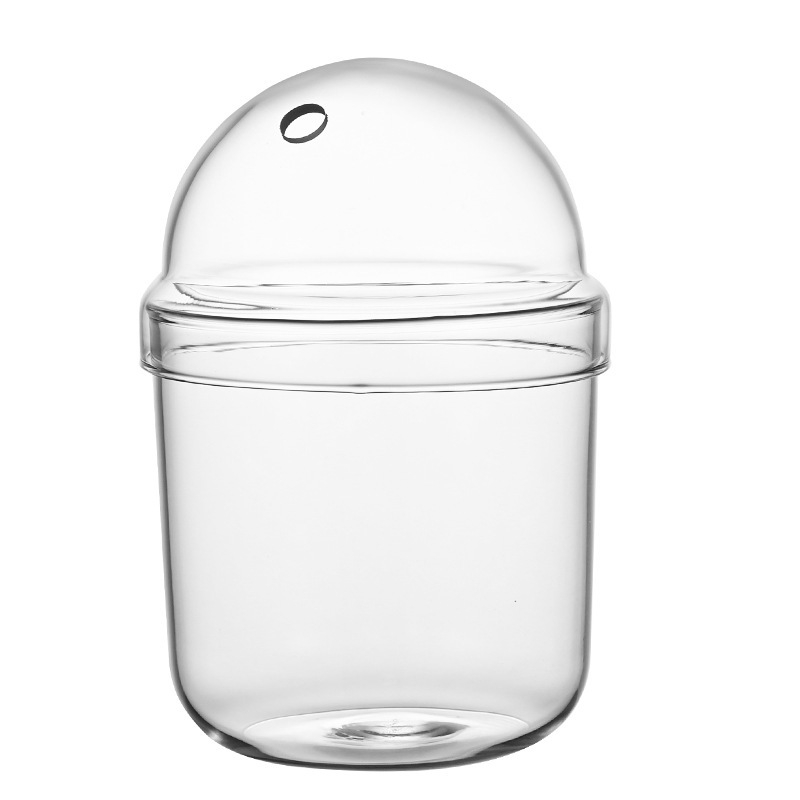 Haomeng Borosilikāta stikla vāze mikropeizažai hidroponikai ar sukulentiem un dekoratīvām zivīm — Materiāls: borosilikāta stikls; Iepakojums: kartona iepakojums; Displejs: displejs; Dāvana: Nē