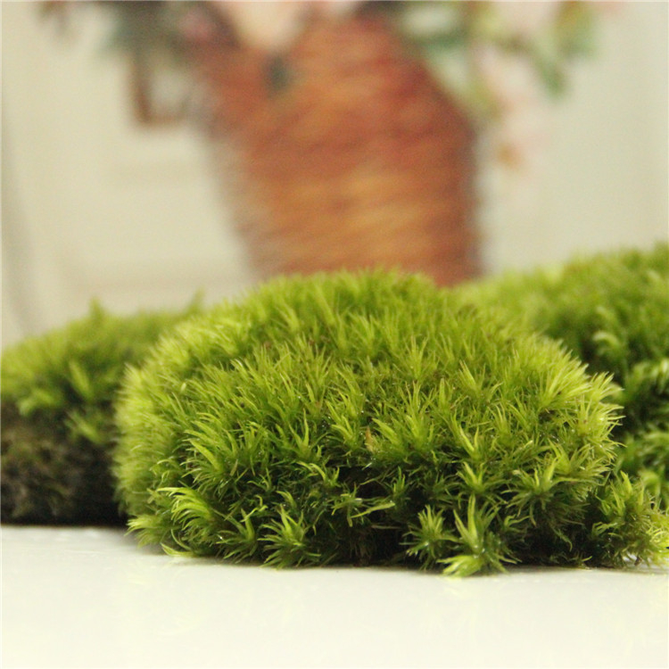 Peisaj mini cu mușchi DIY cu ornamente — Ye Zun Crafts, Material: plantă, Ambalare în cutie