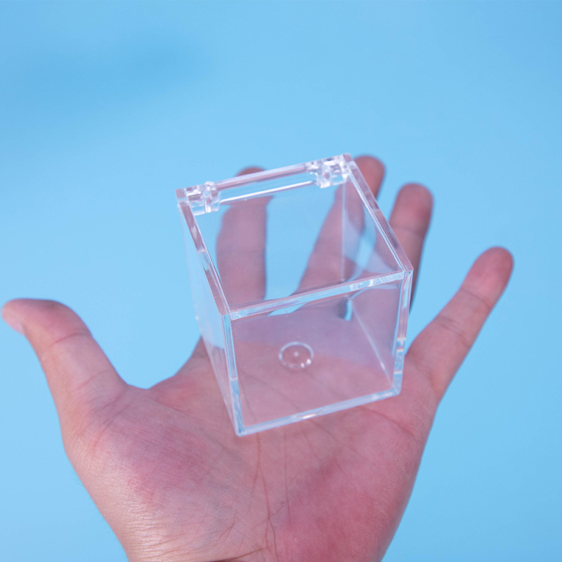 Akrila pudelīte ar mikro ainavu no sūnas — galda dekors DIY, dāvana no Hi Woof Meow