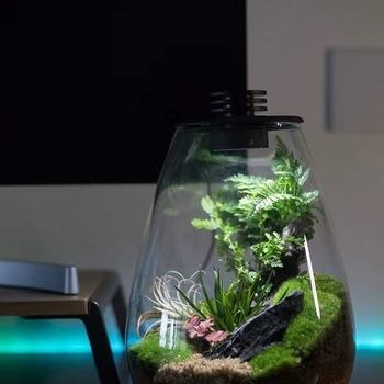 Stikla ekoloģiskā pudelīte ar mikro ainavu un sūnu — dekoratīvā hidroponiskā vāze mājām (Materiāls: augstas borosilikāta stikls; Iepakojums: kartons; Dāvana: piemērots; Novietojums: plauktam)