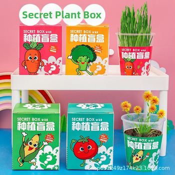 Kit DIY pentru plante de birou pentru copii — semințe de plante în ghivece, componente din plastic, Idol, stil proaspăt, ambalaj într-o cutie de carton