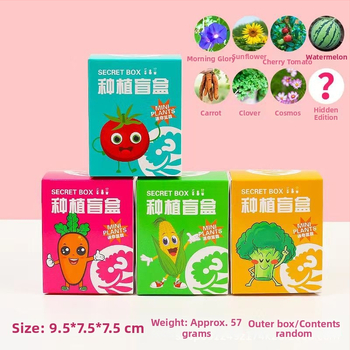 Kit DIY pentru plante de birou pentru copii — semințe de plante în ghivece, componente din plastic, Idol, stil proaspăt, ambalaj într-o cutie de carton