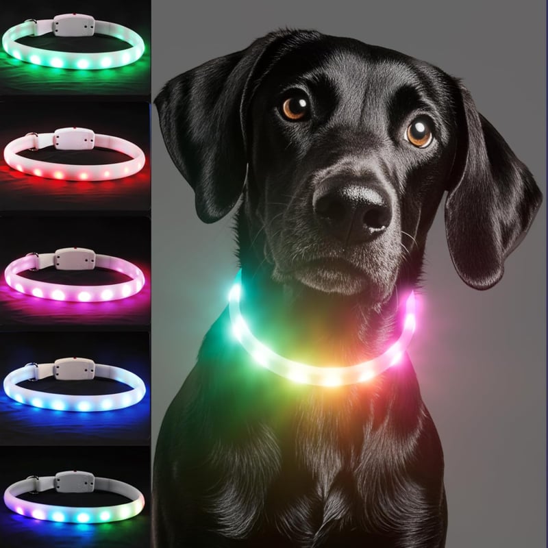 LED világító kutyanyakörv, újratölthető, éjszakai biztonság és az elvesztés elleni védelem