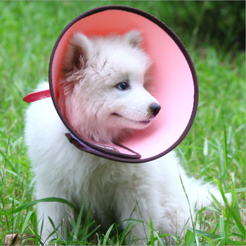 Elizabethán golier pre domáce zvieratá, Medho, jednobaretný vzor, PP materiál, pre psa, vhodný pre všetky ročné obdobia