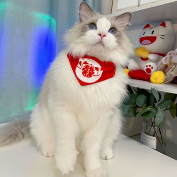 Șal-bib pentru pisici la nuntă — model cu litere, material nețesut, stil cartoon, logo și culoare personalizabile