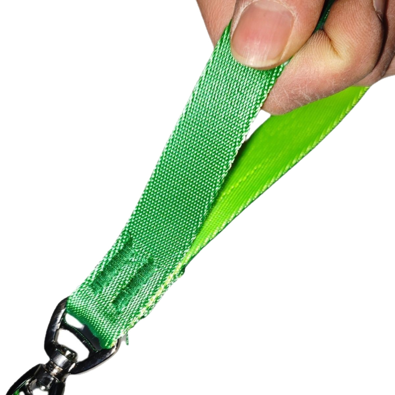 Lesă de dresaj pentru câini – universală, design anti-ingestie, din poliester, pentru toate mărimile câinilor