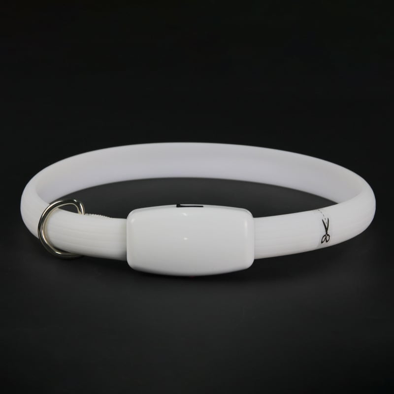 USB töltő LED világító kutyanyakörv éjszakai sétákhoz