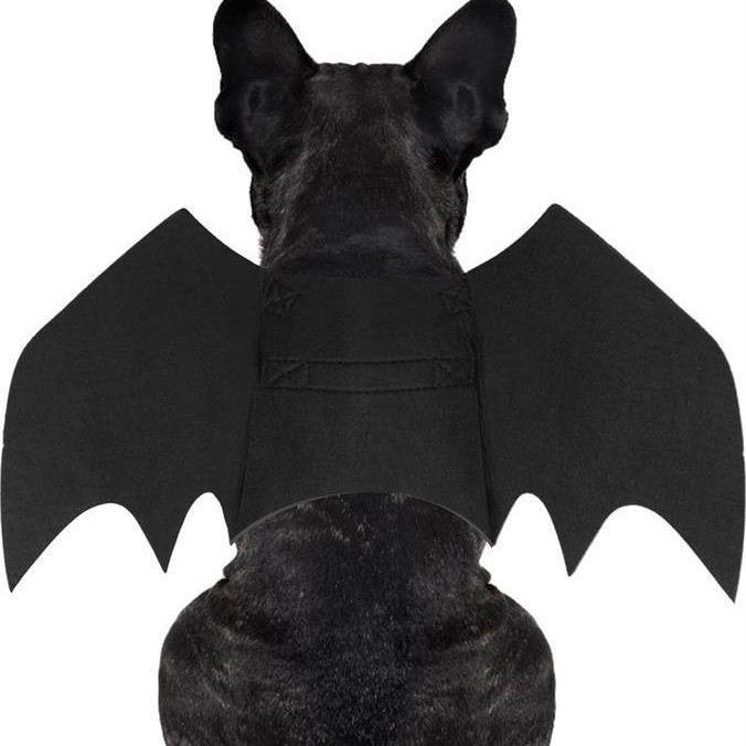 Aripi de lilieci pentru animale de companie – model solid cu paiete; material: lână/felt; stil: Halloween