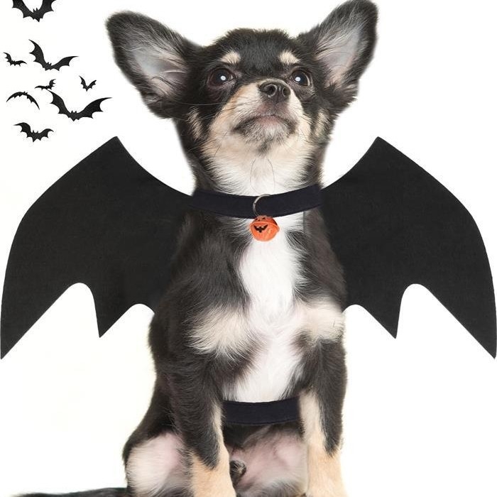 Aripi de lilieci pentru animale de companie – model solid cu paiete; material: lână/felt; stil: Halloween
