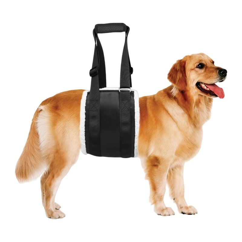 Raspberry ham de piept pentru câini — Oxford material, suport de reabilitare, compatibil cu lesă pentru călătorii