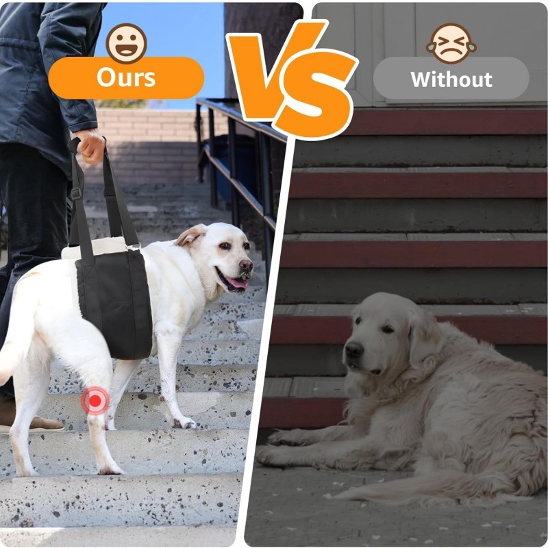 Raspberry ham de piept pentru câini — Oxford material, suport de reabilitare, compatibil cu lesă pentru călătorii