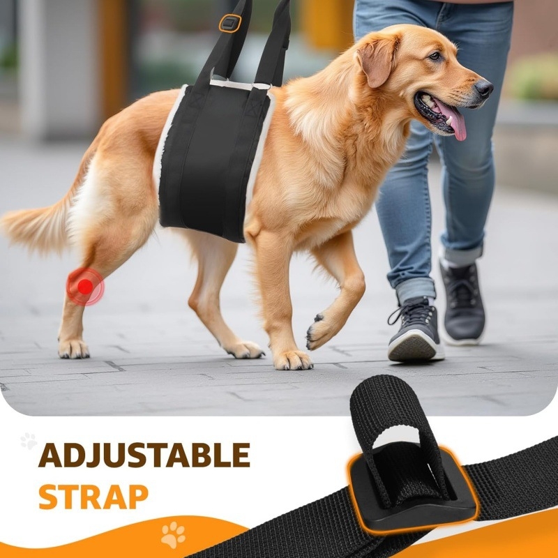 Raspberry ham de piept pentru câini — Oxford material, suport de reabilitare, compatibil cu lesă pentru călătorii